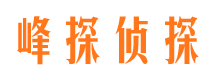 萨迦寻人公司